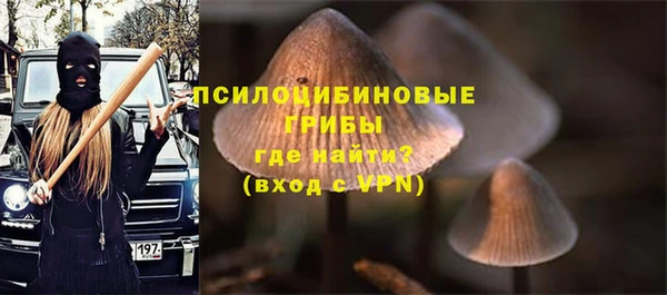 бошки Алексин