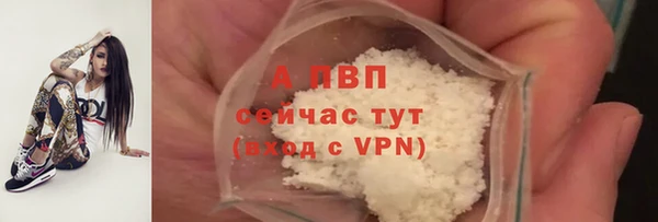 spice Абинск