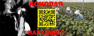 а пвп мука Надым