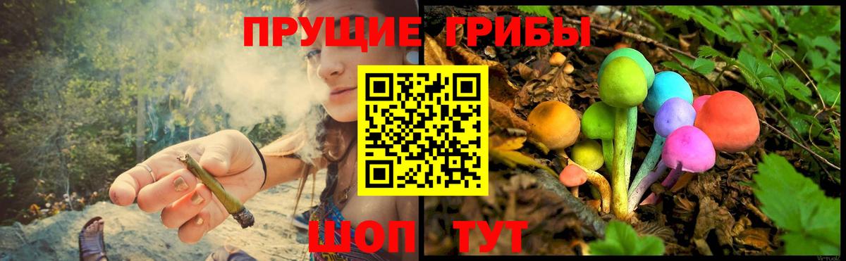 Галлюциногенные грибы прущие грибы Тюмень